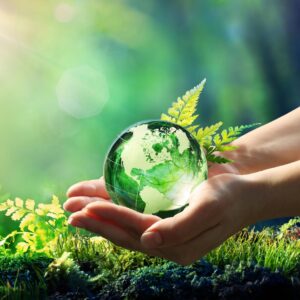 Hands Holding Globe Glass In Green Forest - Environment Concept