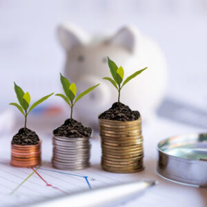 Piggy bank and sapplings growing on money coin stacks for financial concept