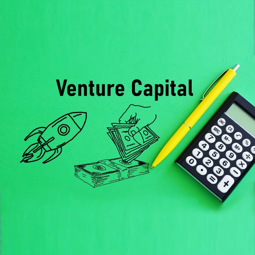 Venture capital is shown using a text