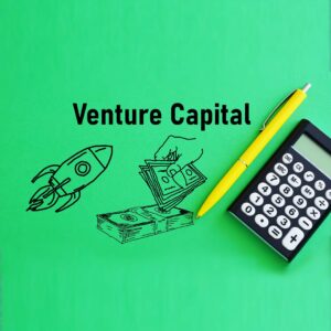 Venture capital is shown using a text